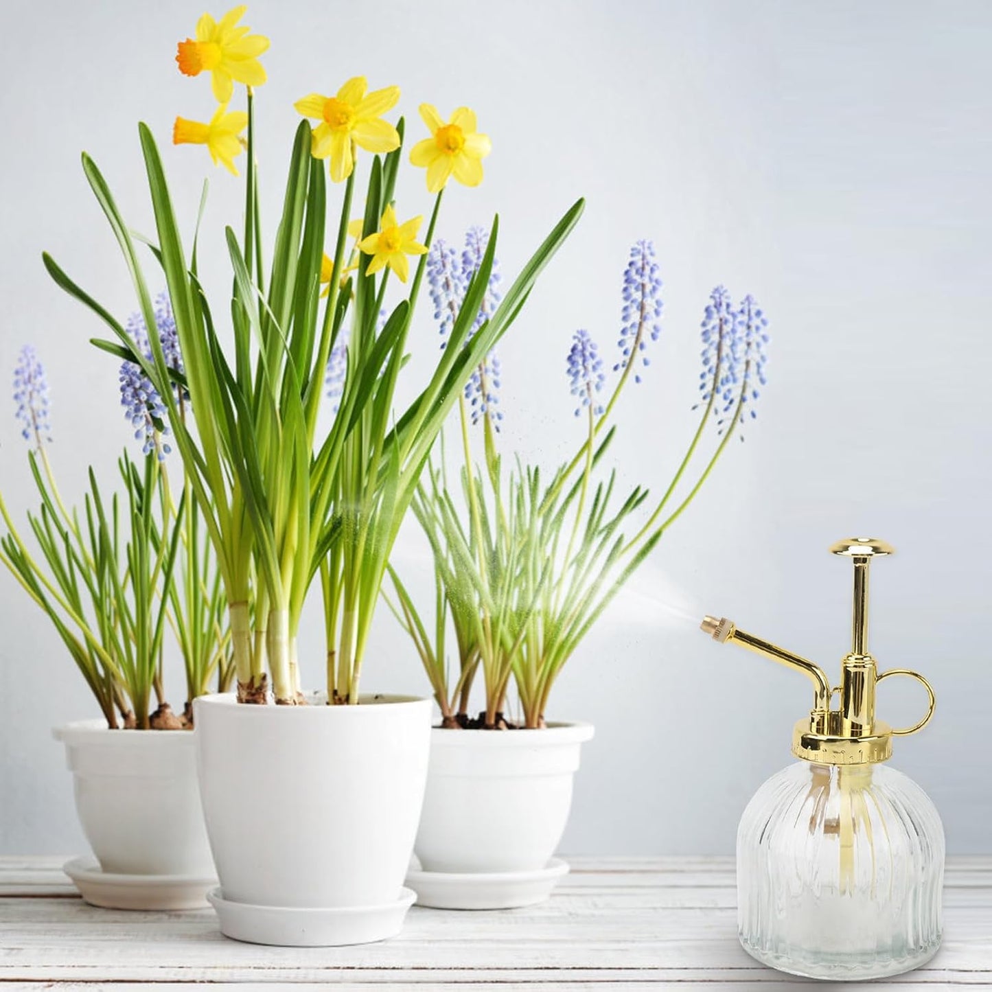 Glass Watering can 6.29in Transparent Plant Mister Spray Bottle with Long Spout Indoor Watering can for Succulents Garden Plants Home Use 1 Watering Kettle