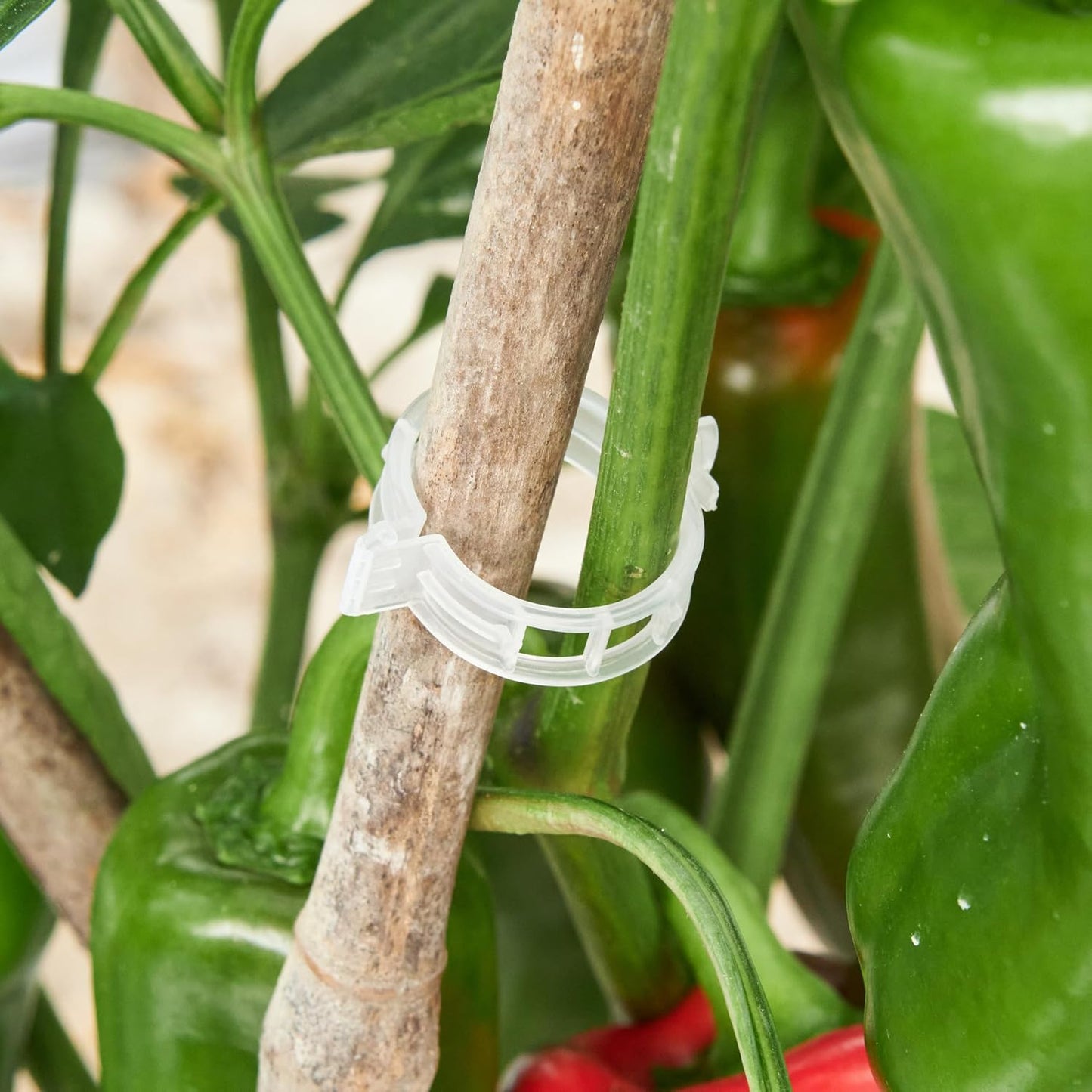 100 Pcs Plant Support Clips,Plastic Clips for Securing Plants