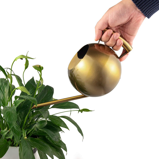 Watering Can for Indoor Plants 45oz/1.3L Stainless Steel Small Indoor Watering Can House Plants