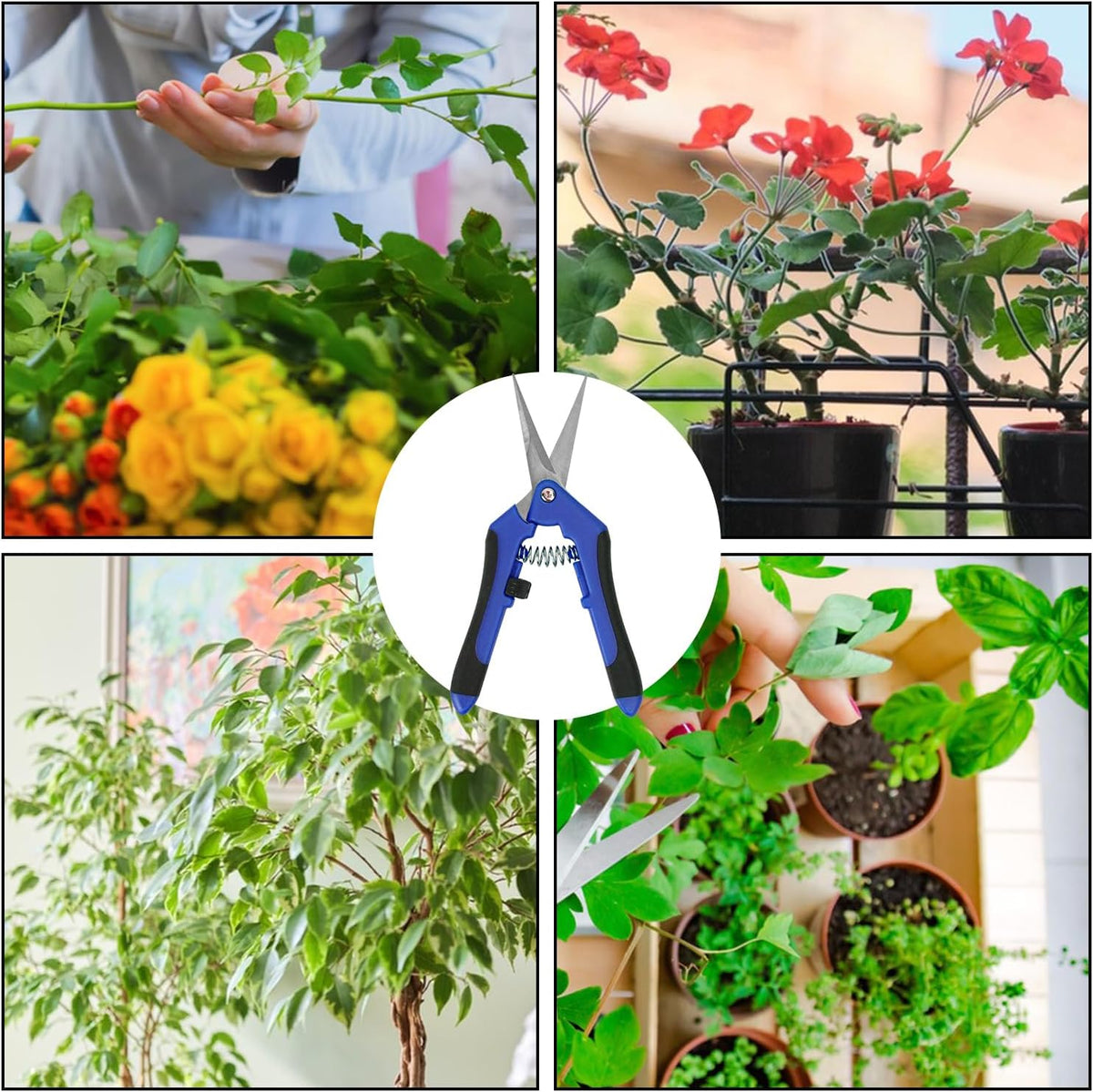 20 Pack 6.5 Inch Garden Pruning Scissors, Hand Pruner with Stainless Steel Blades, Sharp Point Gardening Shears Cutter, Gardening Pruning Shear, Supplies & Accessories(Blue)