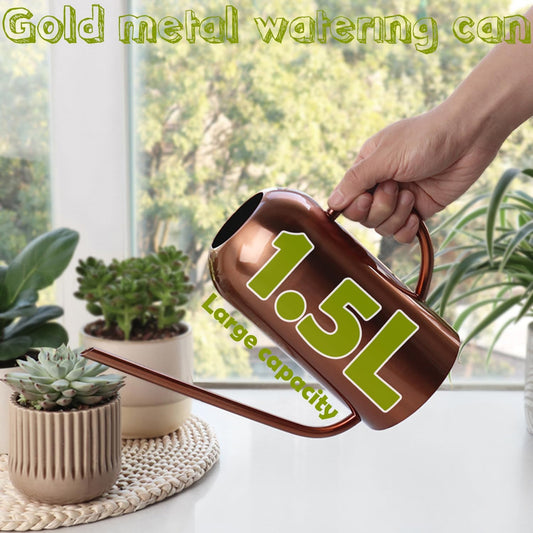 Watering Can Indoor Outdoor Plants, 50oz/1500ml Garden Long Spout Watering Cans, Stainless Steel Plants Watering Can Pot for Indoor House Plants Bonsai Flower Decorative