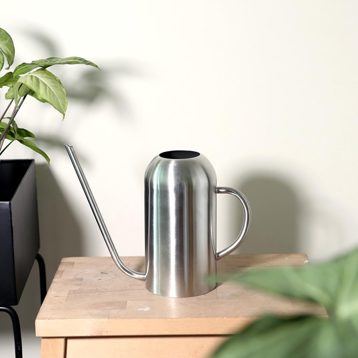 Watering Can Indoor Outdoor Plants, 50oz/1500ml Garden Long Spout Watering Cans, Stainless Steel Plants Watering Can Pot for Indoor House Plants Bonsai Flower Decorative