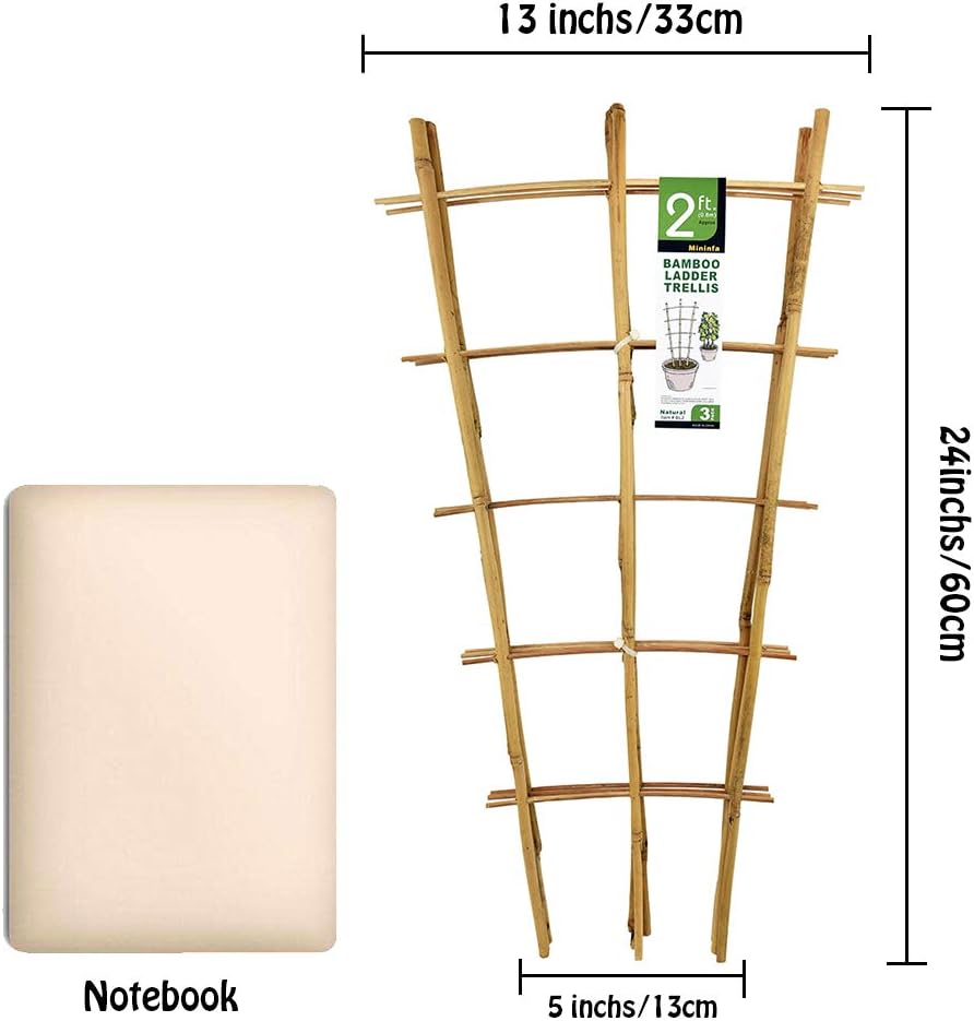 Natural Bamboo Trellis 24 Inches Tall, Garden Ladder Trellis, Plant for Climbing Plants, Vegetables, Pots - 3 Pack