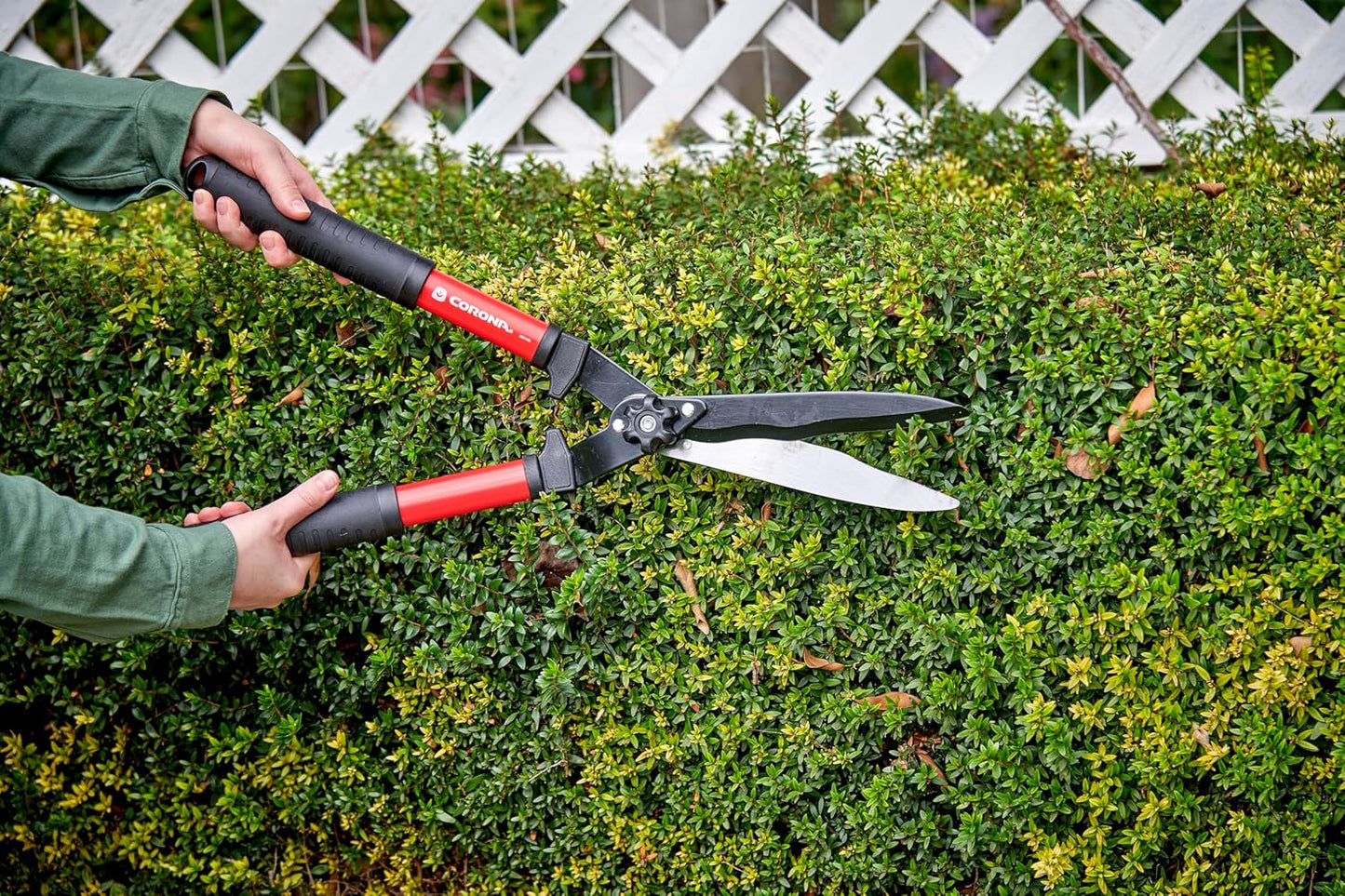 Lopper & Pruner Kit