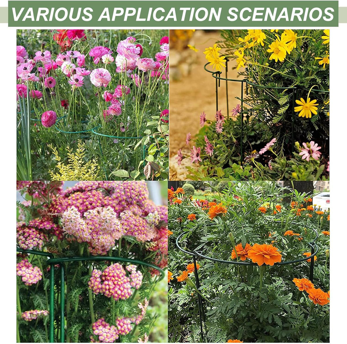 12 Pack Plant Support Stake Peony Cages, 16 Inch Peony Supports for Outdoor Plants, with 15 Pcs Plant Labels, 20 Pcs Plant Clips, 7ft Plant Ties