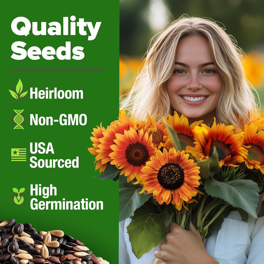 HOME GROWN Organic Marketmore Cucumber Seeds 200+ Heirloom Non-GMO Seeds for Planting, High Germination, Hardy & Vigorous Slicing Cucumber, Trellis & Raised Bed Garden (Cucumis sativus) - Colors C