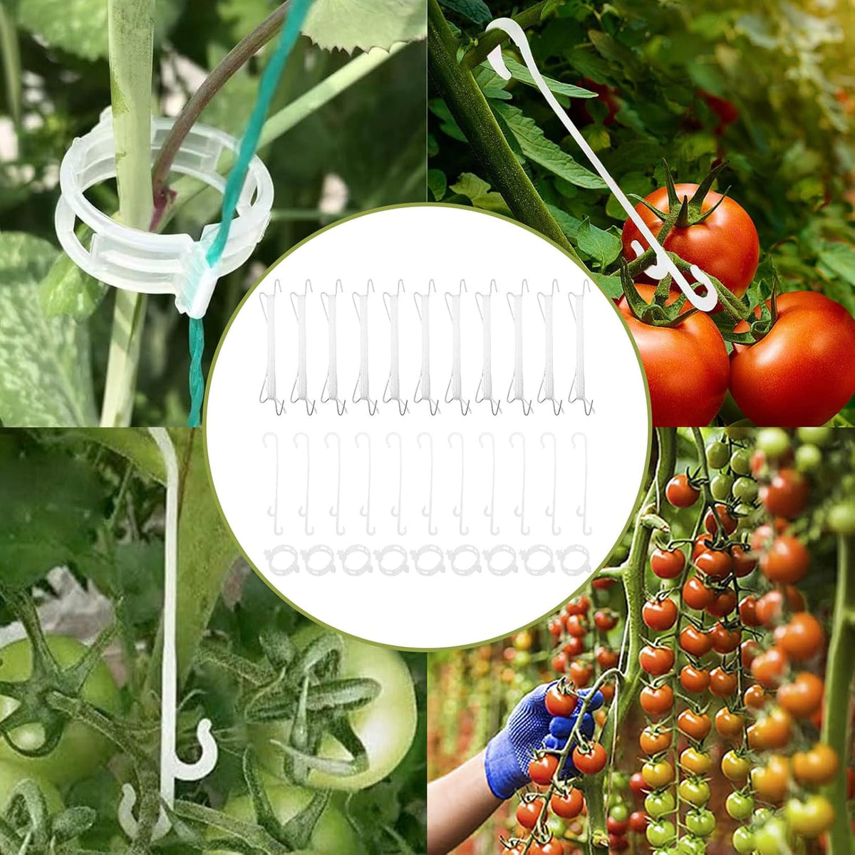 Saihisday Plant Climbing Hooks Tomato Support J Hook Reusable Tomato Twine String Cucumber Trellis Clips Plant Support Clips