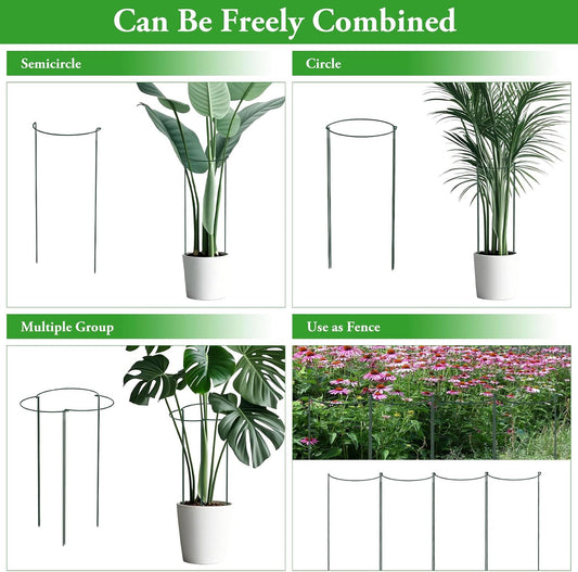 6 Pack Peony Cage, 32" x 13" Half Round Metal Plant Support Stakes