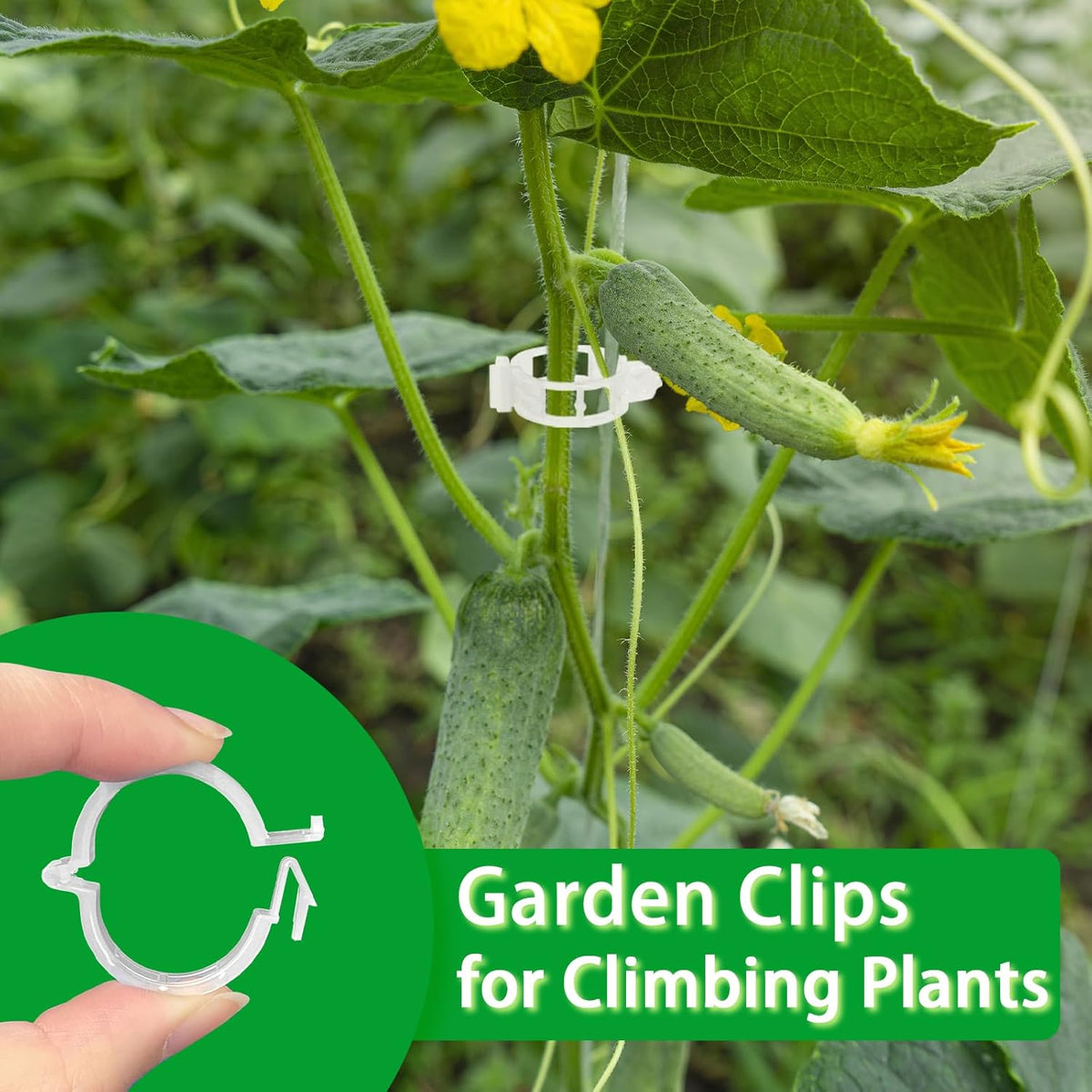 Pynqdfu 400 Pcs Plastic Trellis Plant Support Clips,Vine Vegetable Fixing Clips,Grape Tomato Plant Support,Garden Vine Clips for Healthier Vegetable Growth (Green)