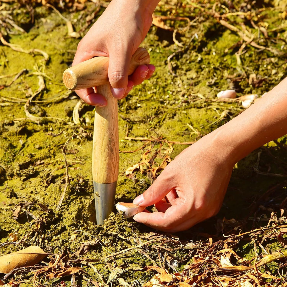 Seed Dibber Hand Garden Tool, Bulb Planter Digging Holes