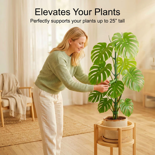 10-Pack Monstera Plant Support Stakes - Stackable Sticks