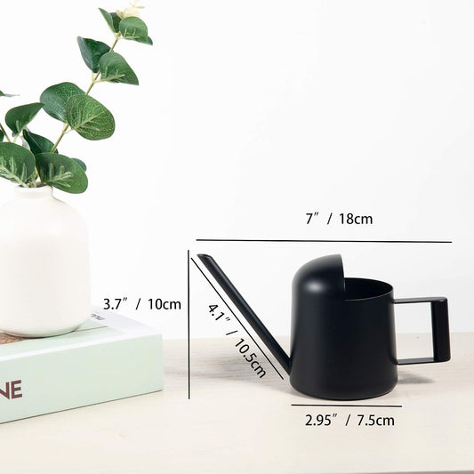 Mini Watering Can for Indoor Plants Stainless Steel Small Watering Can 11oz/300ml