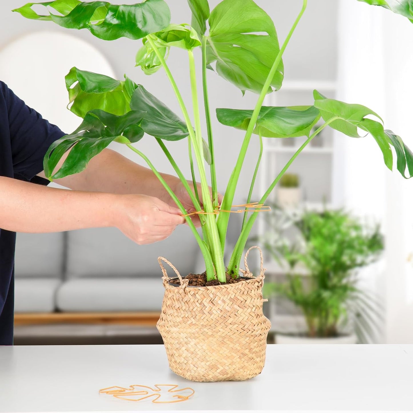 4PCS Green Iron Monstera Support, Uniquely Designed Plant Support Stakes for Indoor Plants, Stable Plant Stakes and Supports, Turtle Shell Bamboo Clamp Set for Thriving Growth