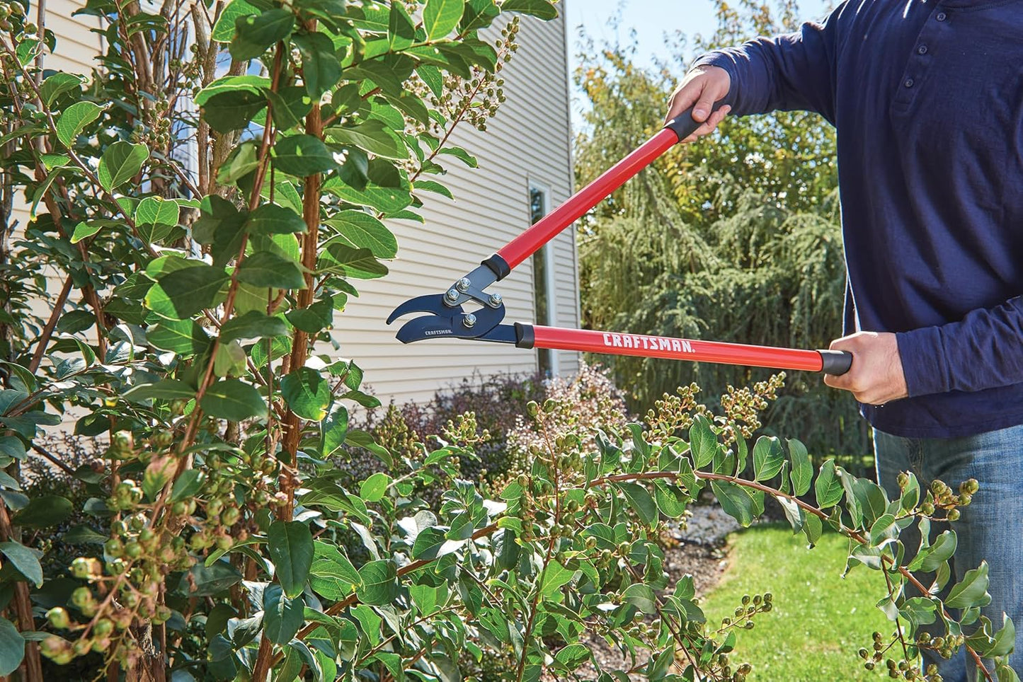 Craftsman Compound Bypass Lopper