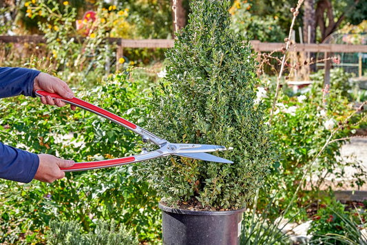 PrecisionCUT Aluminum Hedge Shear – Lightweight Hedge Clippers for Trimming Hedges, Shrubs & Bushes, Garden Landscaping Shears