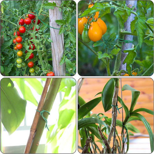 100 Feet Soft Tie for Plants, Green Twist Garden Ties Gardening Supplies for Supporting Climbing Plants, Tomatoes, Vegetables, (Diameter - 2.5MM)