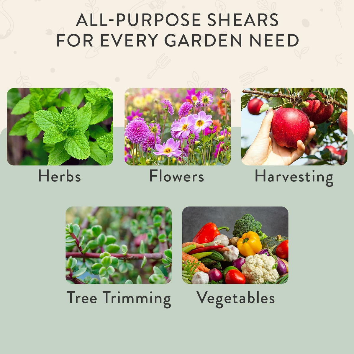 Pruning Shears- Garden Snips - Herb Scissors- Lavender 1-Pack