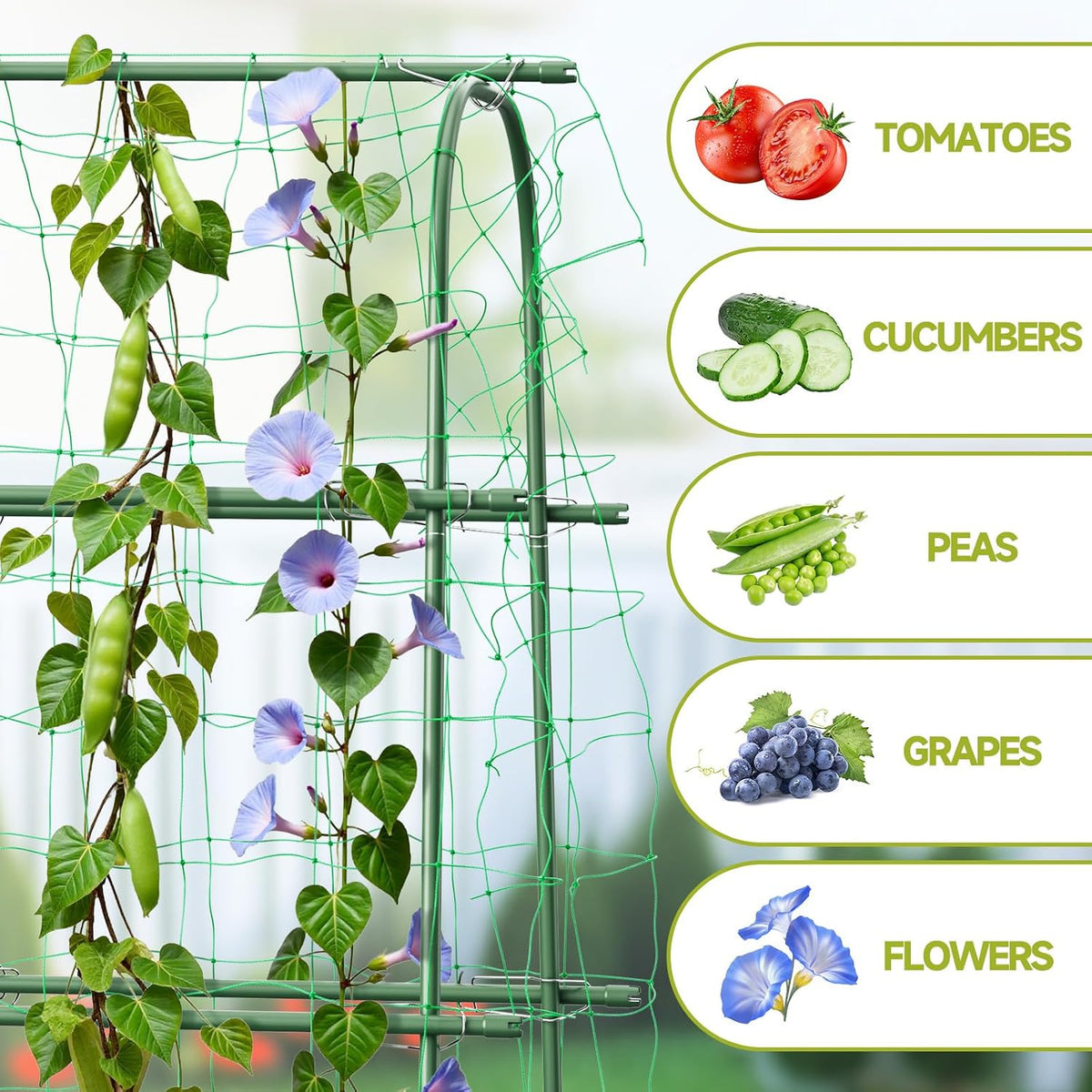 Garden Arch Trellis for Climbing Plants, 6.3ft Tall, Green