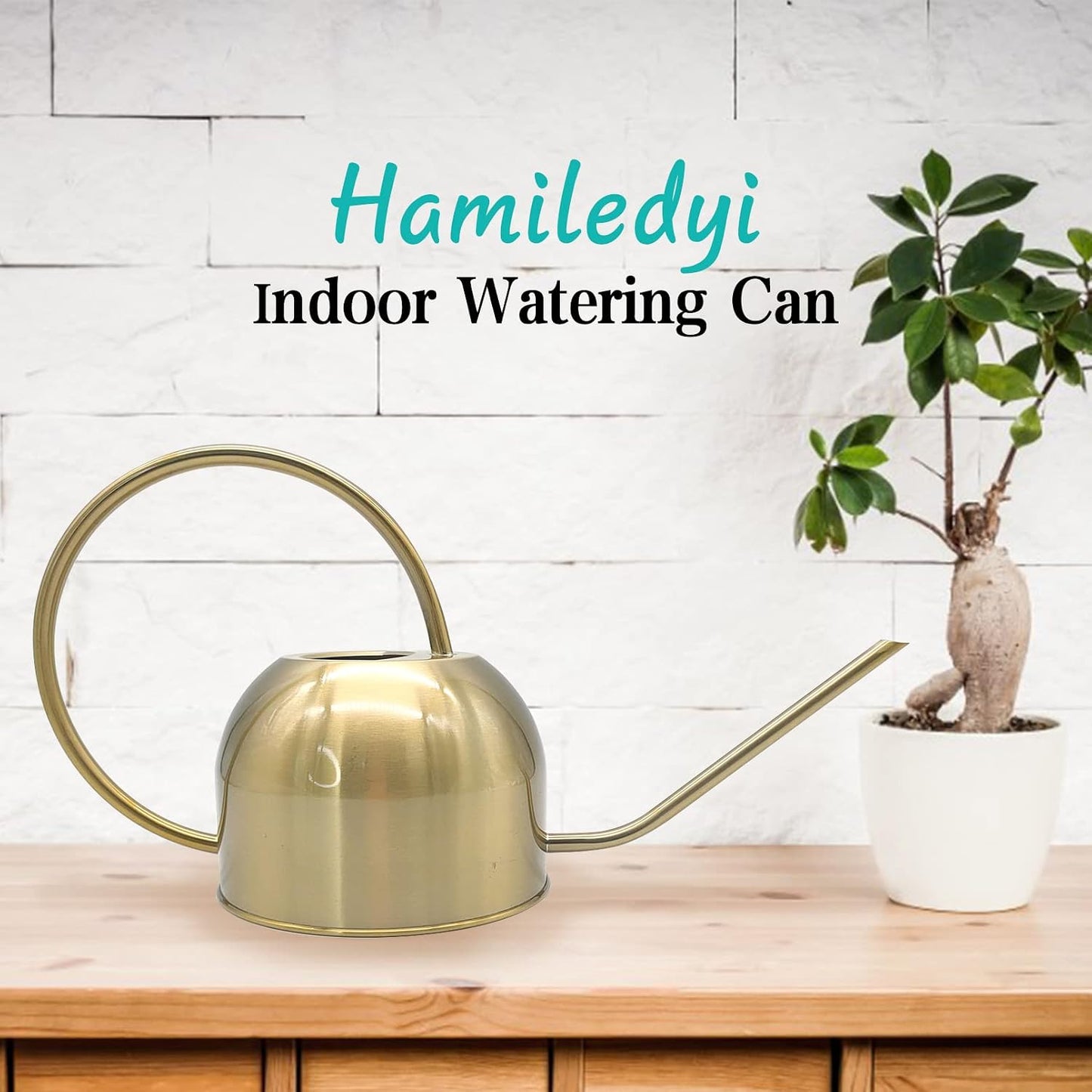 50 oz/1500 ml Stainless Steel Watering Can with Long Spout