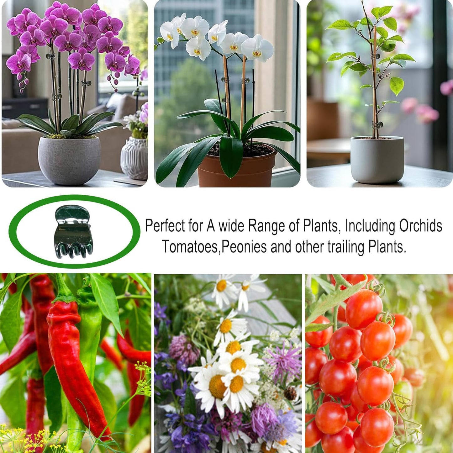30 pcs Plant Clips, Orchid Clips Plant Orchid Support Clips Flower and Vine Clips for Supporting Stems Vines Grow Upright Dark Green
