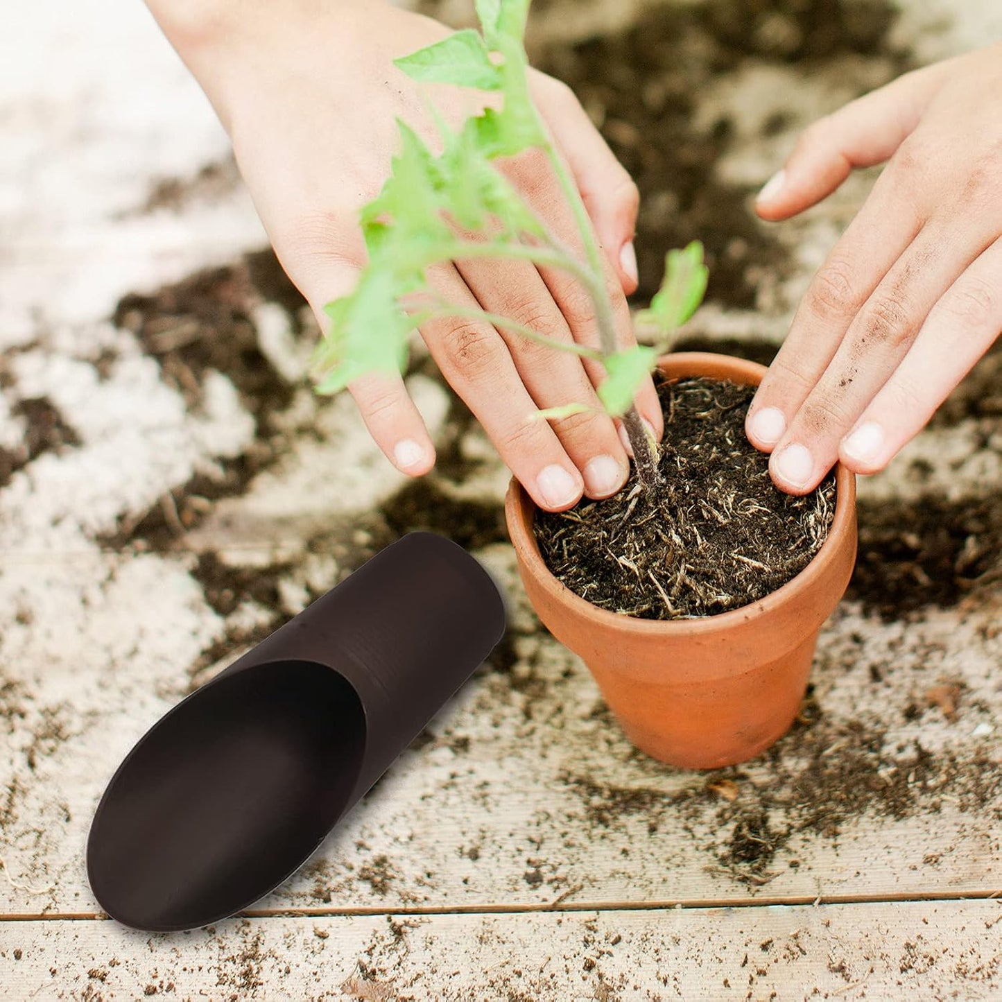 5PCS Bonsai Soil Scoops, Plastic,Potting Scoopers, Bucket Shovel, 5-Color