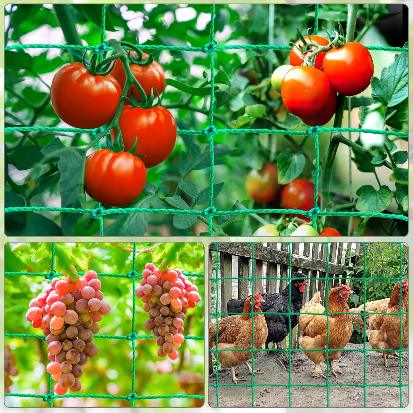 Trellis Netting, Garden Netting for Plants, 6.6x26 Feet Garden Trellis Netting for Climbing Plants with 27 Strands Nylon Outdoor Indoor, Vegetable Grow Trellis Net for Tomato, Cucumber, Grape, Bean