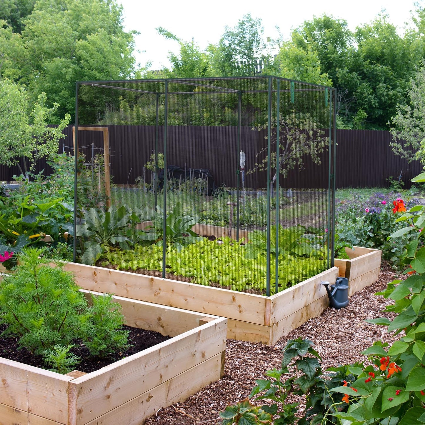 Crop Cages for Garden Plant: 6x3x5 Ft Tent Cage, Plant Netting Cover with Zipper, Garden Bed Cover, Plant Cover from Animal Wind-Resistant Garden Cage for Fruit Vegetable Flower
