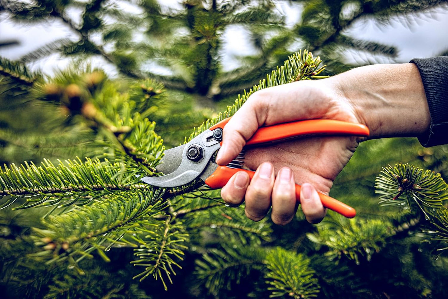 Bypass Pruner Garden Tools 14.104 | Use as Pruners, Hedge Trimmer, Garden Shears, Pruning Shears for Gardening | For cutting roses, twigs, branches, and cut flowers | Made in Germany