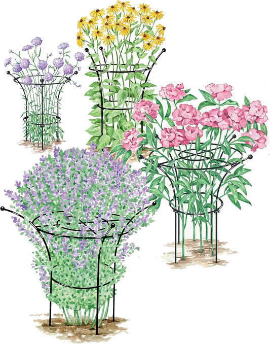 Essex Plant Support, X-Large