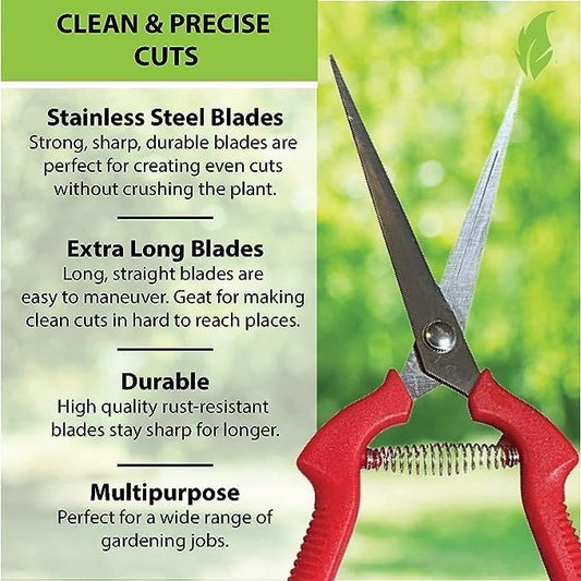 Extra Long Stainless Steel Pruner Pruning Shears Clippers Snips – Sharp Bonsai Cutter Plant Trimming Scissors – Straight Blade Garden Scissors Tool – Great for Roses Flowers Herbs Fruits
