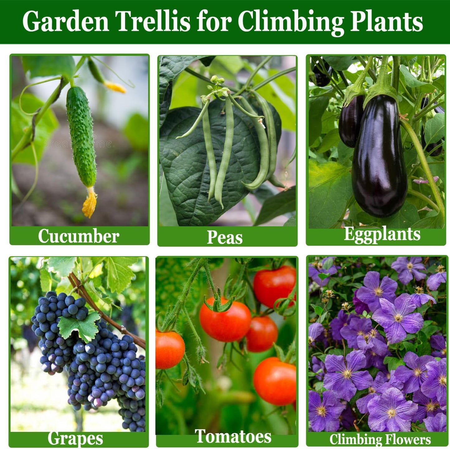 Cucumber Trellis Garden Trellis Arch Trellis, Tall Trellis for Climbing Plants Support Vegetable Peas Fruit Vine Outdoor A-Frame Trellis Suit for Small Plant not Heavy