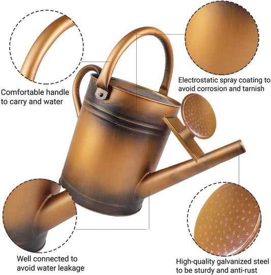 1 Gallon Metal Watering Can with Removable Spout, Nice Galvanized Steel Water Can for Indoor and Outdoor Plants (House Plants)