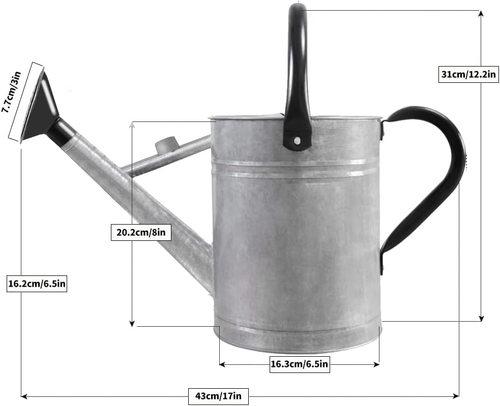 1 Gallon Metal Watering Can with Removable Spout, Nice Galvanized Steel Water Can for Indoor and Outdoor Plants (House Plants)