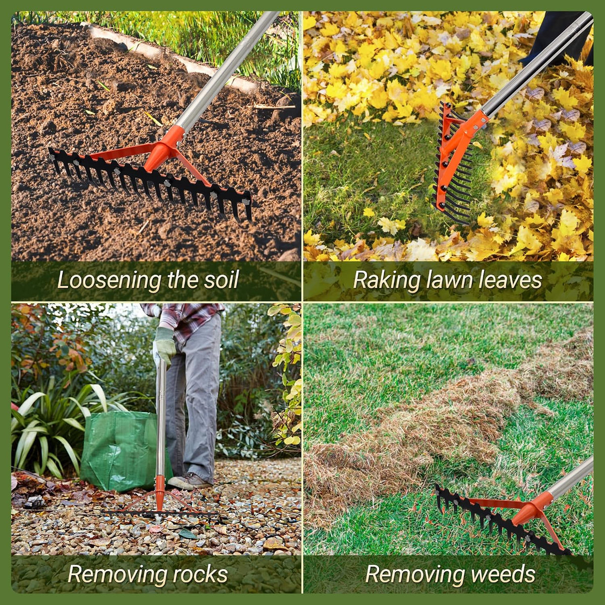 62.5 Inch Thatch Rake for Lawns 18 Sharp Tempered Spring Steel Tines