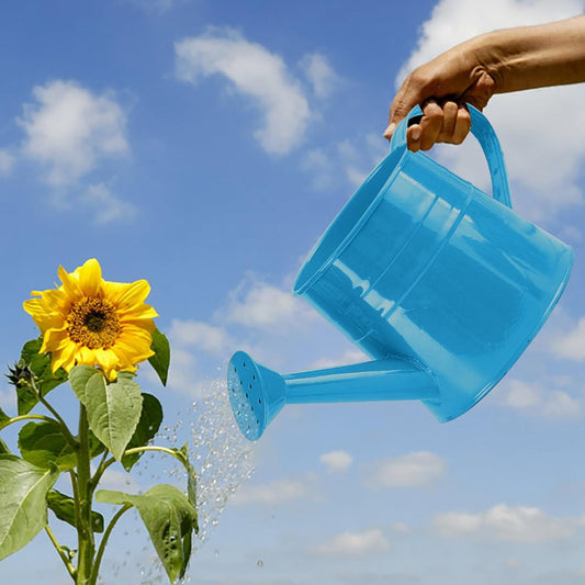 Small Watering Can, Watering Can Gardening Tool Accessories, Garden Sprinkling Cans with Long Spout & Handle, Rust-Resistant Tinplate Watering Kettle for Indoor Outdoor Lawn,Garden Care (Blue)