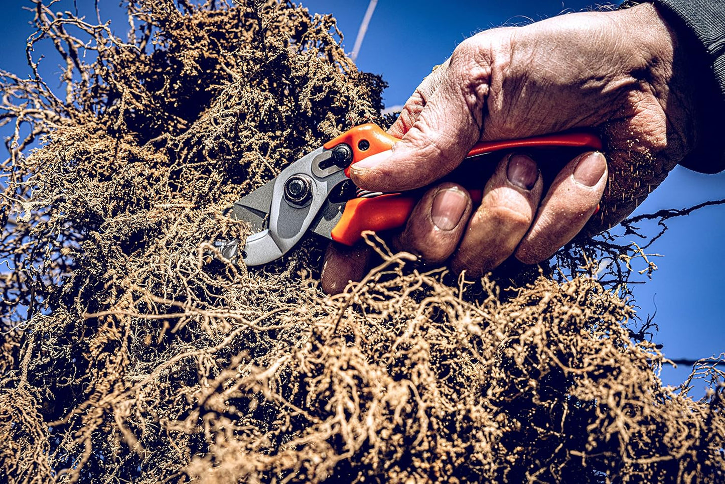 15 Anvil Pruning Shears 15.107 with Bypass Geometry for Small to Medium Hands - Curved, Non-Stick Coated Blade Ideal for Cutting Hard Wood like Linden, Spruce, Larch, and Oak
