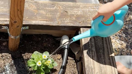 Watering Can - with Spout