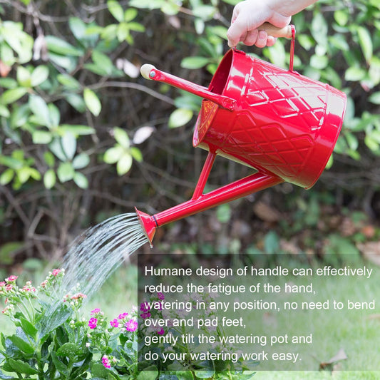 1 Gallon Red Metal Watering Can, Removable Spout