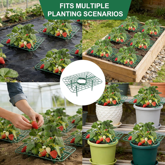10-Packs Strawberry Plant Support, Reusable Strawberry Garden Trellis & Plant Holder-Keeps Berries Off the Ground for Pots & Backyard Raised Bed Gardens Home Gardeners