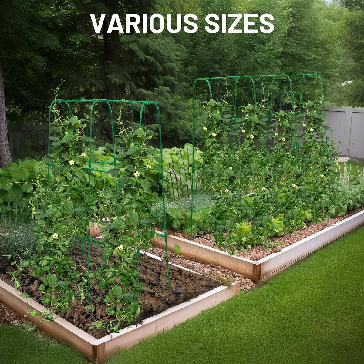 Large A-Frame Garden Trellis for Tomatoes, Cucumbers & Heavy Climbing Plants - Rust-Resistant, Heavy-Duty Steel, Perfect for Outdoor Gardens & Vertical Gardening(47" W x 63" H)