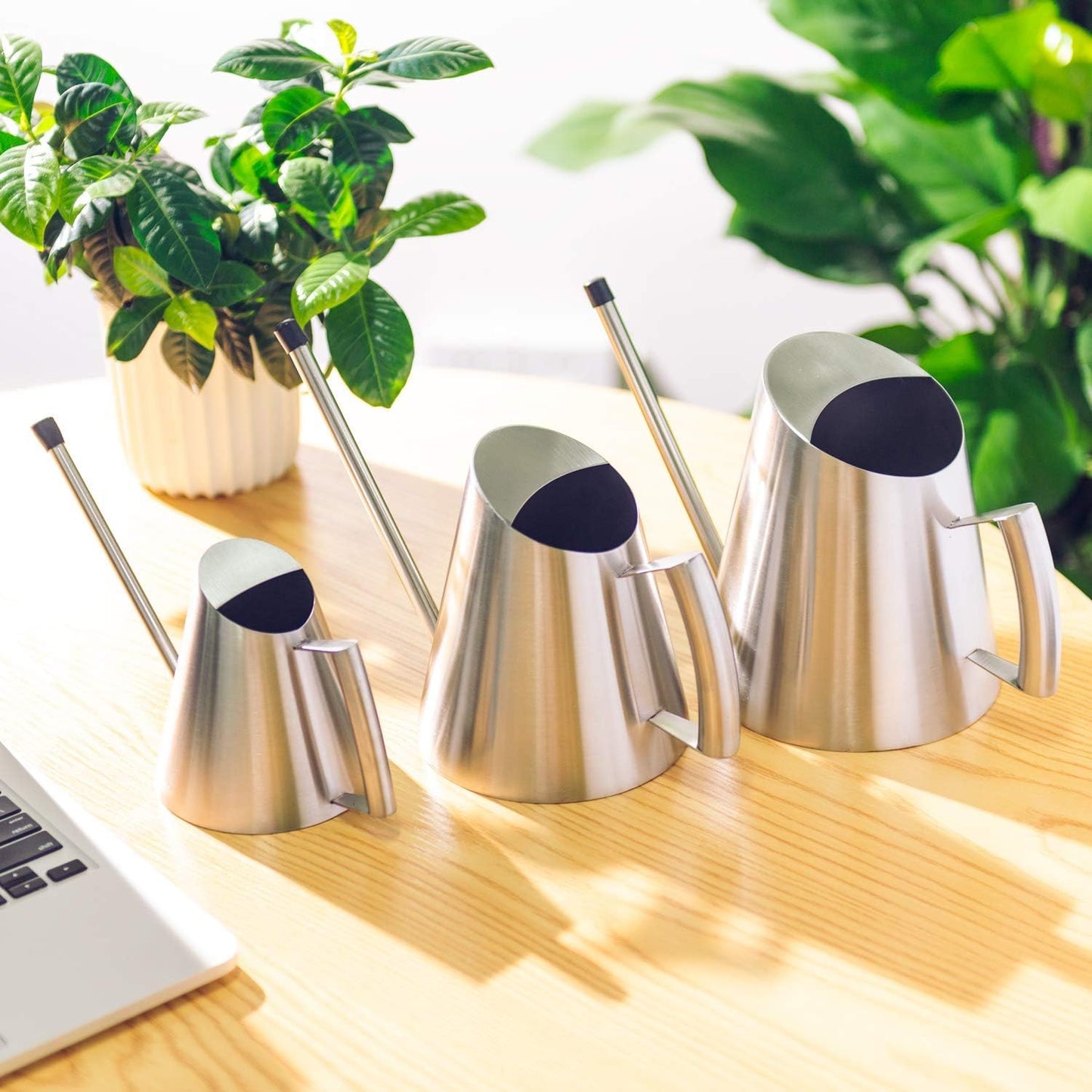 Stainless Steel Indoor Watering Can with Long Spout Modern Watering Can for Small Indoor Plants, 50oz / 1.5L Maximum Capacity