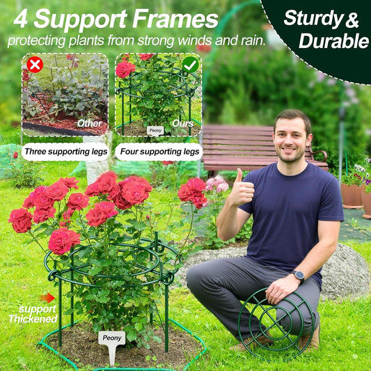 8 Pack Peony Cages and Supports with Plant Support Stakes for Outdoor Indoor Plants 12" D 16" High Tall Heavy Duty Metal Peony Support Cage Ring for Peony Rose Flower Tomato Hydrangea