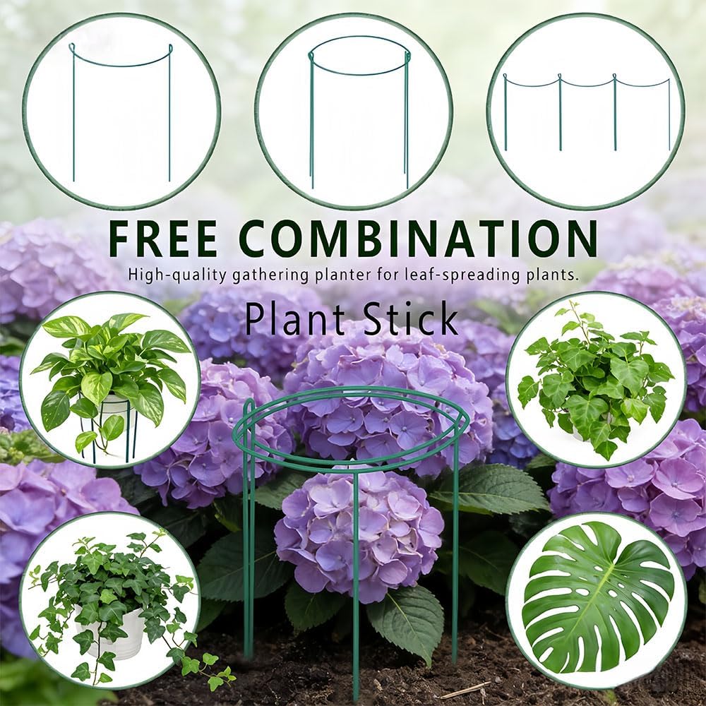 TUKIU 6 Pack 13 Inch Plant Stakes, Metal Peony Cages and Supports, Garden Stakes Plant Support Cage, Plant Support Ring Border for Peony Tomato,Hydrangea,Flower Indoor Outdoor (7.8" W x 13" H)