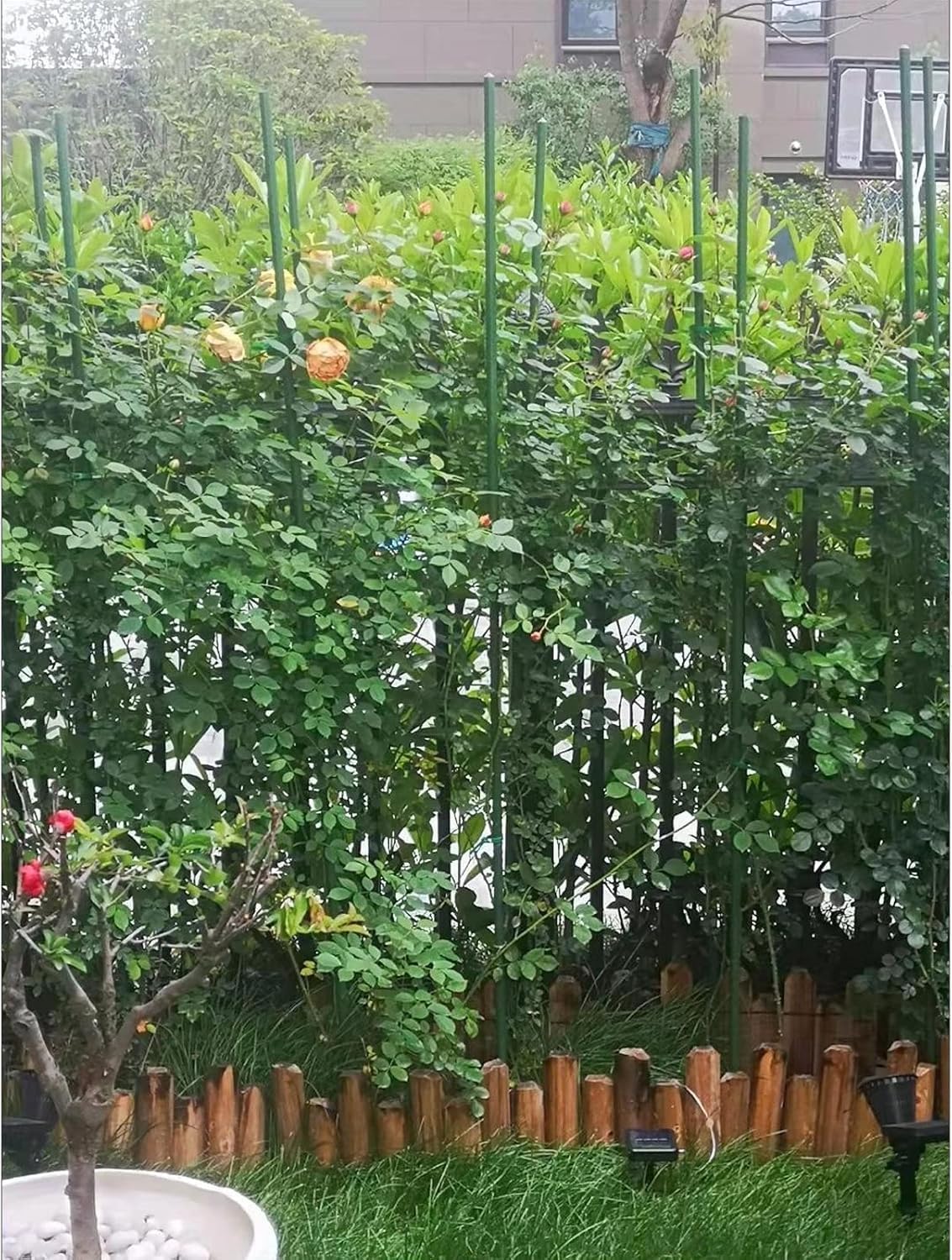 Garden Stakes 6 ft Plastic Coated Steel Tube Sturdy Metal Plant Sticks for Tomato,Cucumber,Bean,Tree,Pack of 25