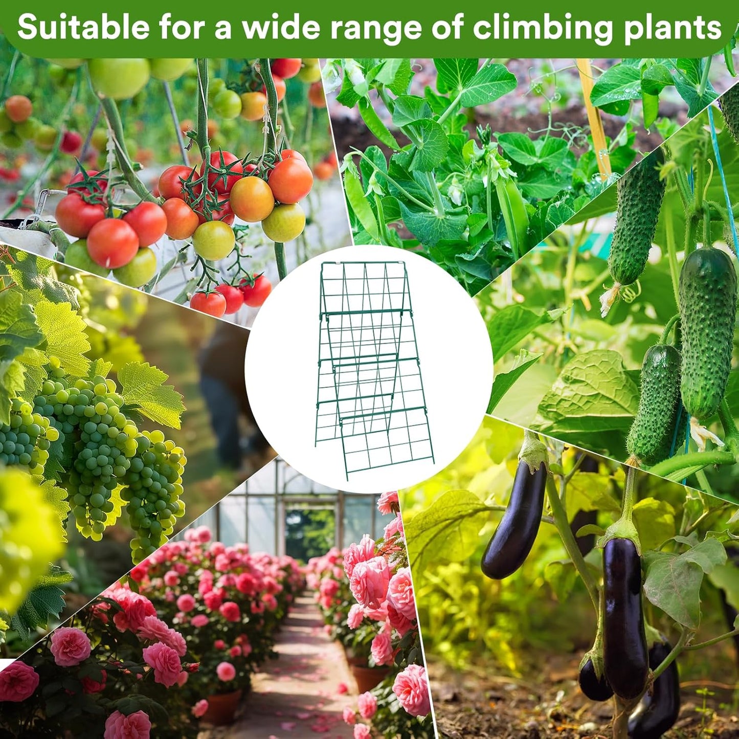 32 x 53 Inch Cucumber Trellis for Climbing Plants Outdoor A-Frame Garden Trellis for Raised Bed Detachable Sturdy Garden Plant Support Trellis for Small Plant Vegetable Flower Grape with Climbing Net