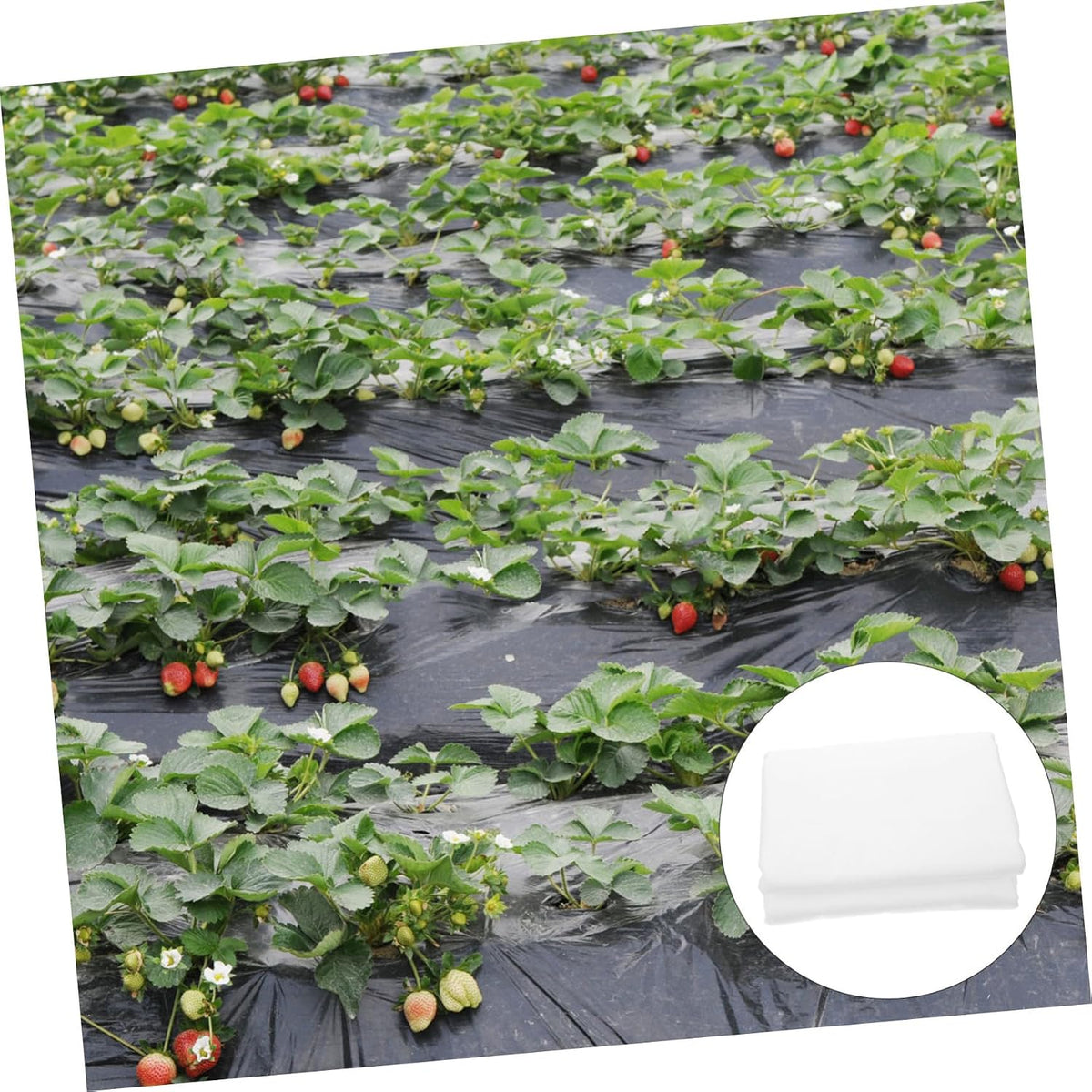 Nonwoven Shrub Freeze Protection Cover for Winter Plants Reusable Frost Blanket Drawstring Outdoor Vegetable Row Cover for Cold Weather Gardening