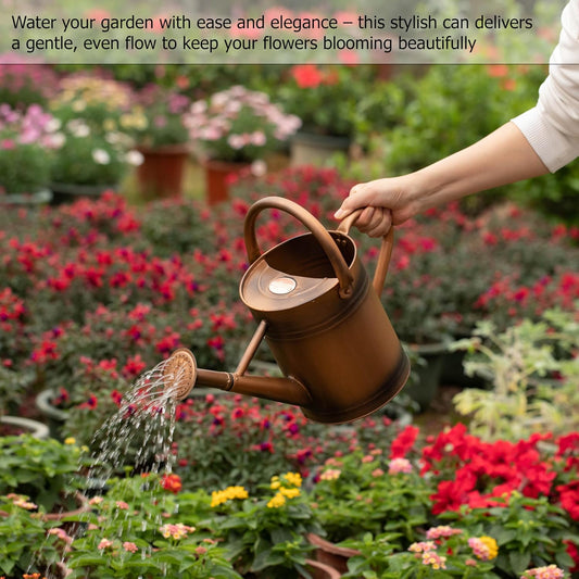 1 Gallon Metal Watering Can with Removable Long Spout & Sprinkler Head for Indoor & Outdoor Use Ideal for Garden Flowers Potted Plants Houseplants Modern Decorative Home Accessories, Bronze