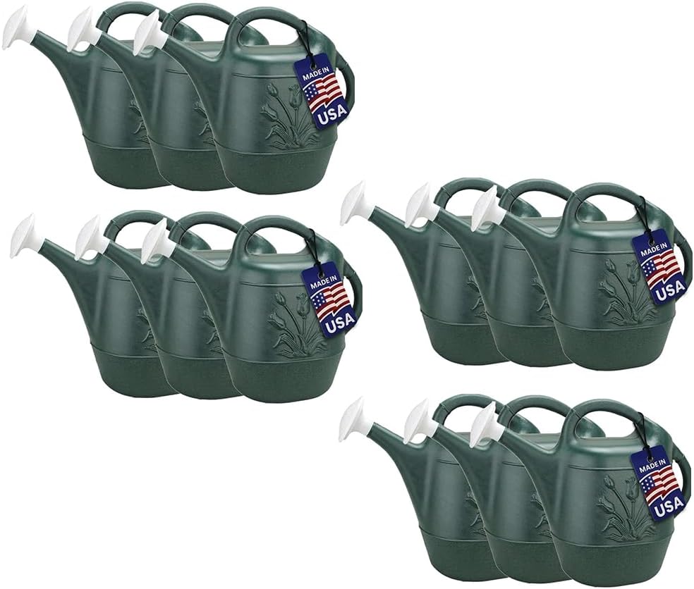 2 Gallon Watering Can - Garden Watering Can for Indoor & Outdoor Plants - Plastic Water Can with Detachable Sprinkler Head - Large Water Pot, Made in USA - Sage Green Pkg/1