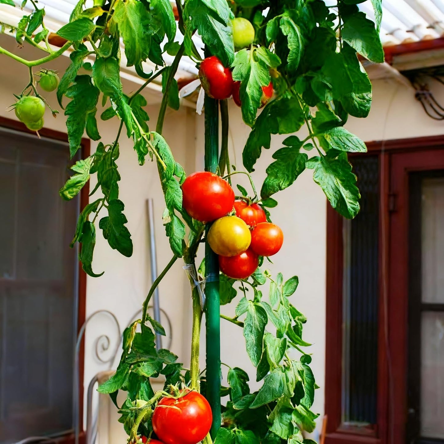 Garden Stakes, 25 Pack Steel Plant Garden Tomato Stakes with Plastic Coat for Climbing Plants (25 Pack 58 Inch)