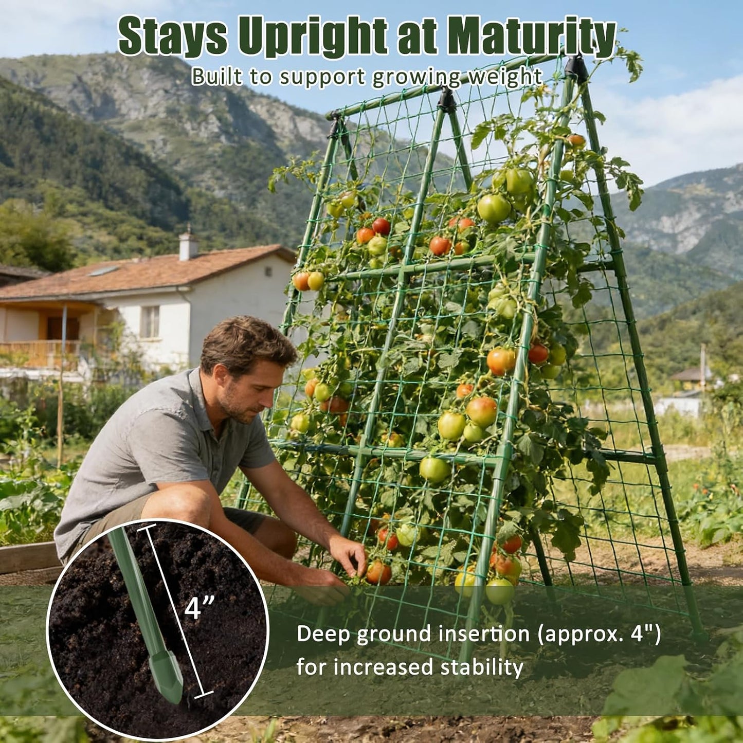 Cucumber Trellis, 48"x48" A-Frame Trellis for Raised Bed, Garden Trellis for Climbing Plants Outdoor, Plant Support for Vegetables Vines